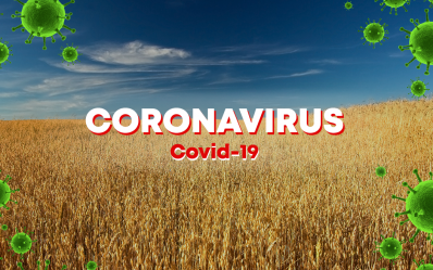 ما مدى تأثر القطاع الزراعي بانتشار فيروس كورونا المستجد؟